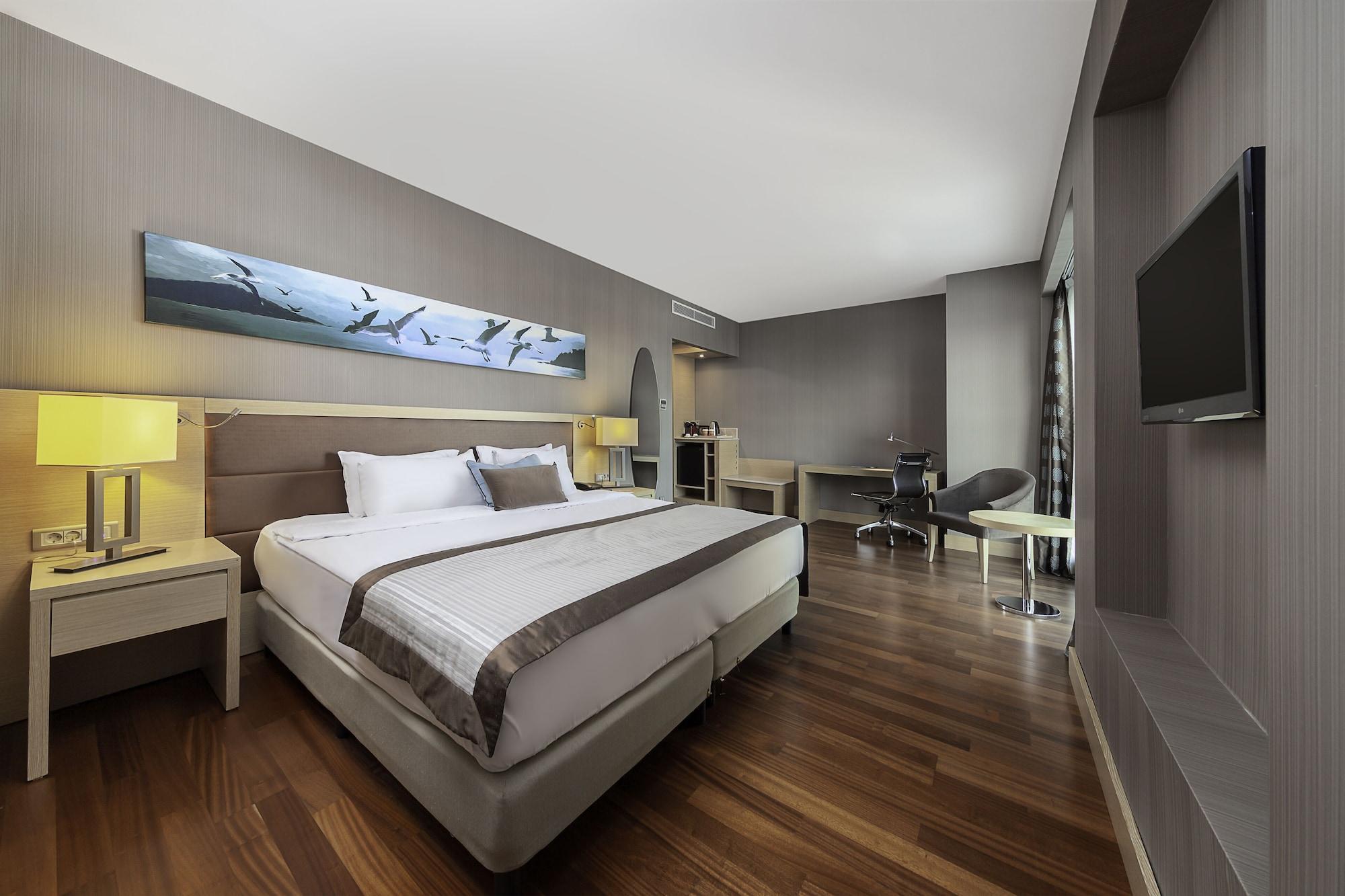 Dedeman Bostanci Istanbul Hotel & Convention Center Екстер'єр фото Deluxe Room